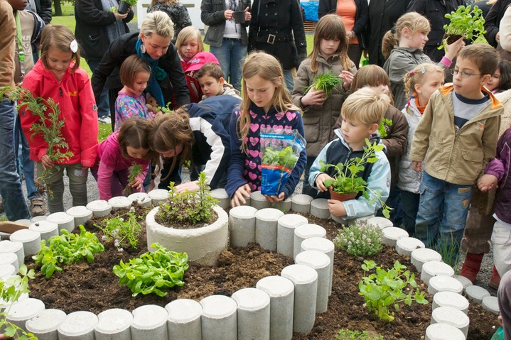 Garten 8
